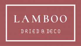 Lamboo_Logo_Redwood_RGB-276x158