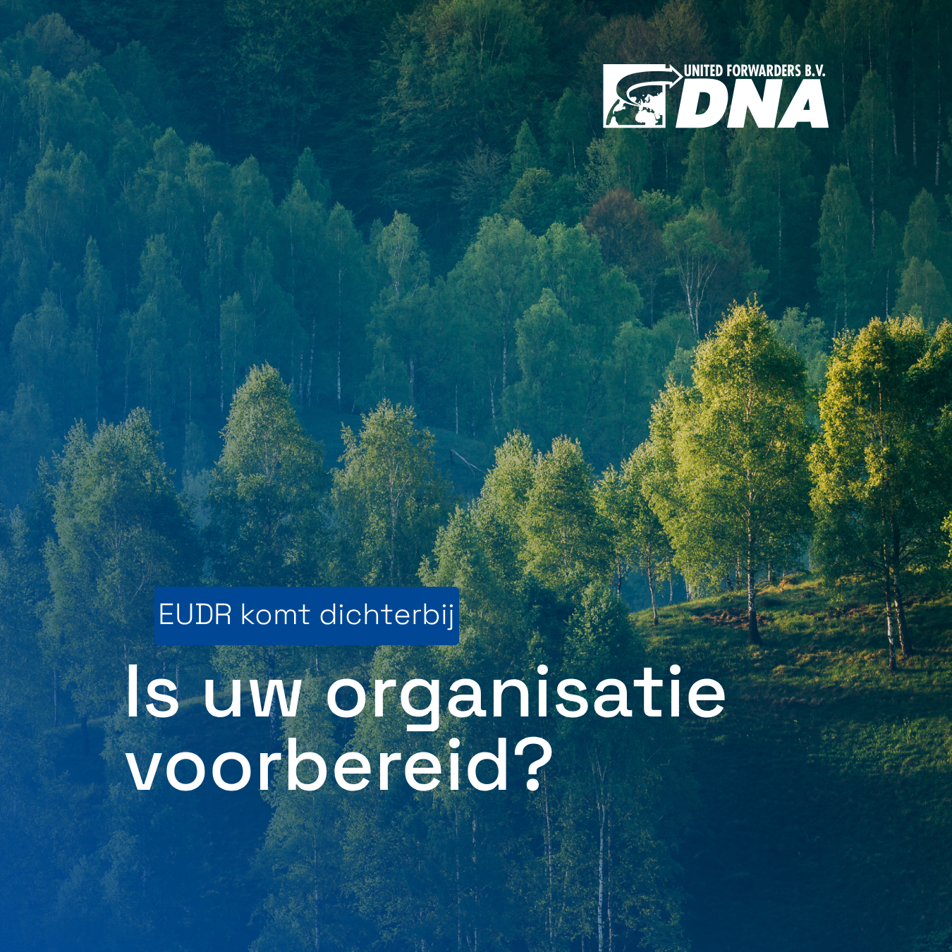 EUDR: nieuwe Europese ontbossingsregels